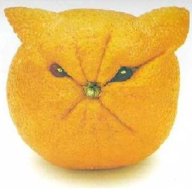 pakanonim