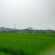 Fikkki