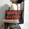 bro37501