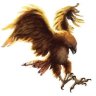 garuda_nerkam